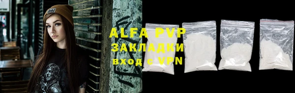 гашик Алексин