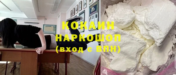 гашик Алексин