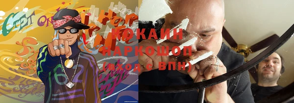 дурь Пестово